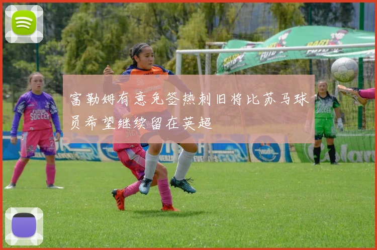 富勒姆有意免签热刺旧将比苏马球员希望继续留在英超