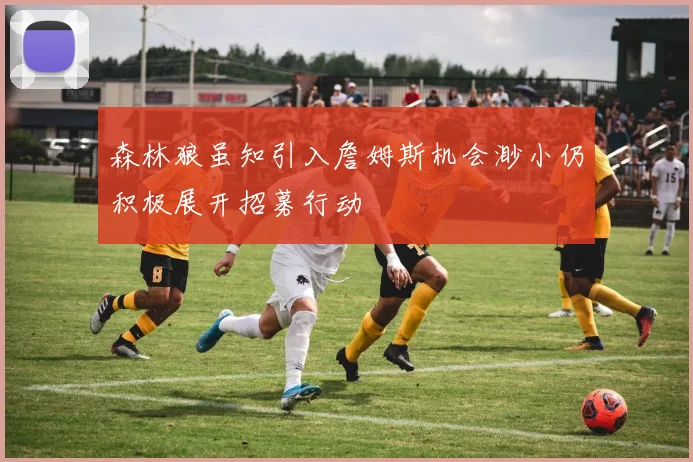 森林狼虽知引入詹姆斯机会渺小仍积极展开招募行动