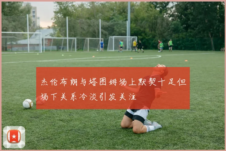 杰伦布朗与塔图姆场上默契十足但场下关系冷淡引发关注